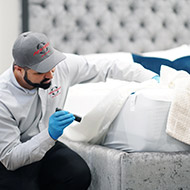 Bed Bug Expertise London Ontario