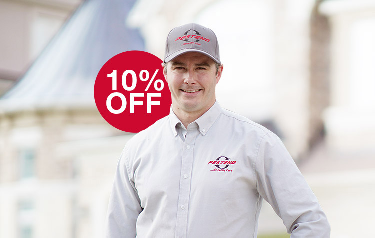 Limited Time Pest Extermination SALE In London ON